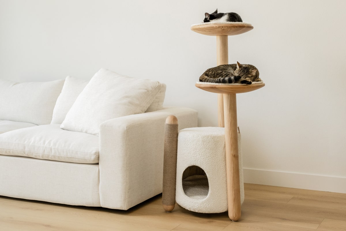 Bao Modern Wooden Cat Tree